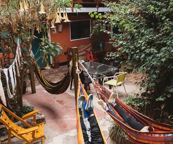 Hotel Backpacker La Bo'm *